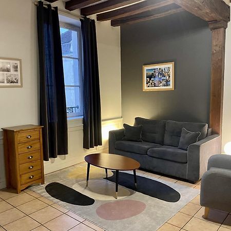 Appartement Le Coche D'Eau Auxerre Les Quais Luaran gambar