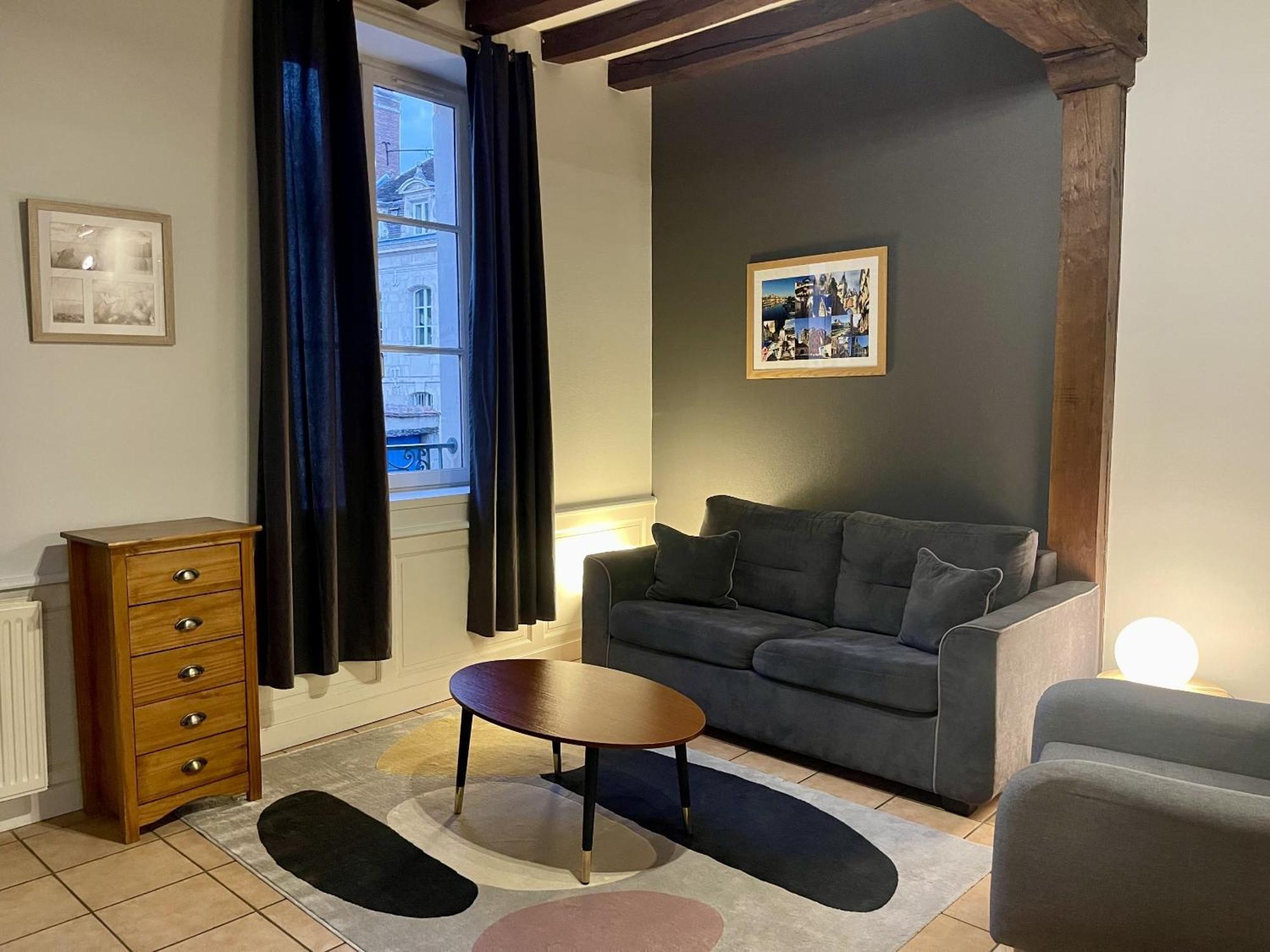 Appartement Le Coche D'Eau Auxerre Les Quais Luaran gambar